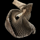 Image for article titled See The Wellcome Trust's Best Science Photos Of The Year